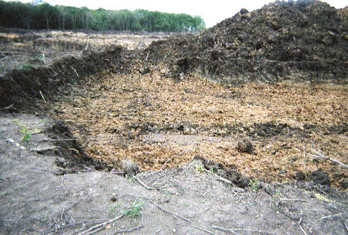 A photo of the area with no anomalities.