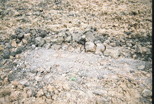 A close shot of an area with no anomality.
