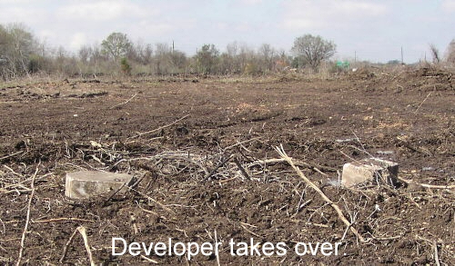 The trees are gone and Perry Homes shows no respect for the grave marker.