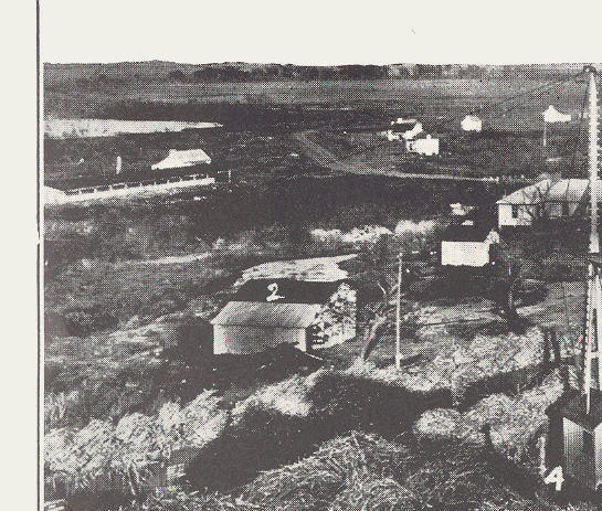 Panoramic view of 1908 Arcola sugar plantation.