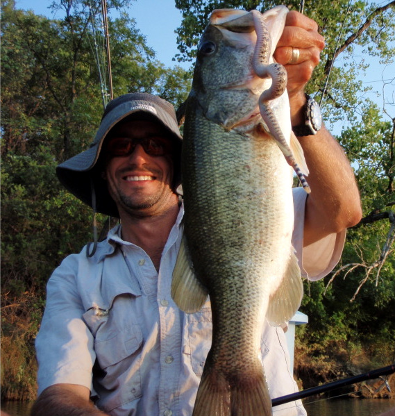 Large Mouth Bass eats a Rattle Snake