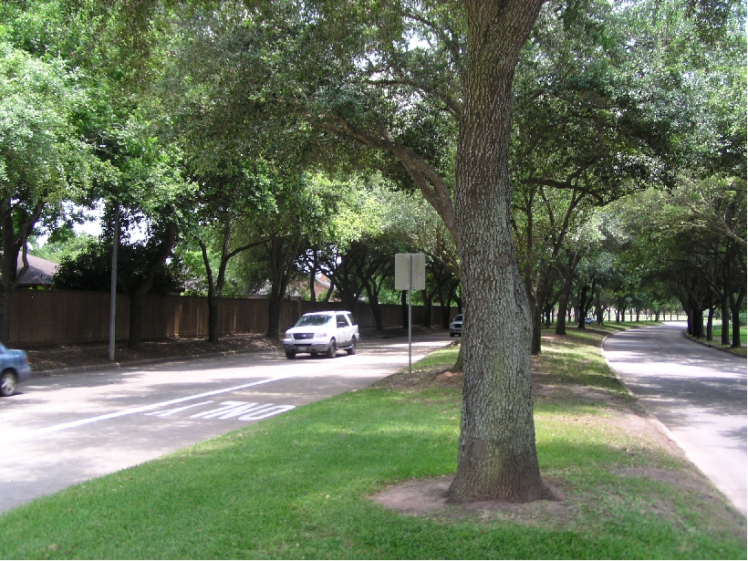 South bound on Williams Trace in Missouri City, Texas.